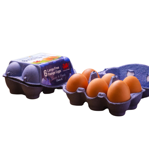 Eggs